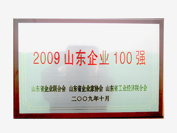 2009--山东企业100强